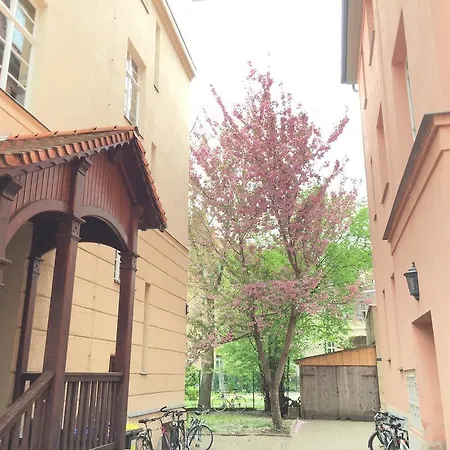 Apartment Altbau